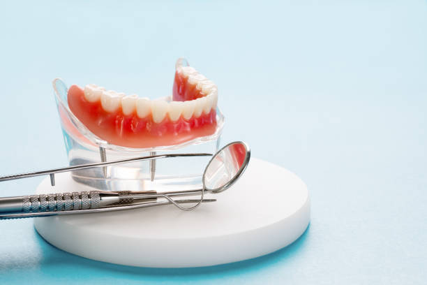 Trusted Munhall, PA  Holistic Dental Services Experts